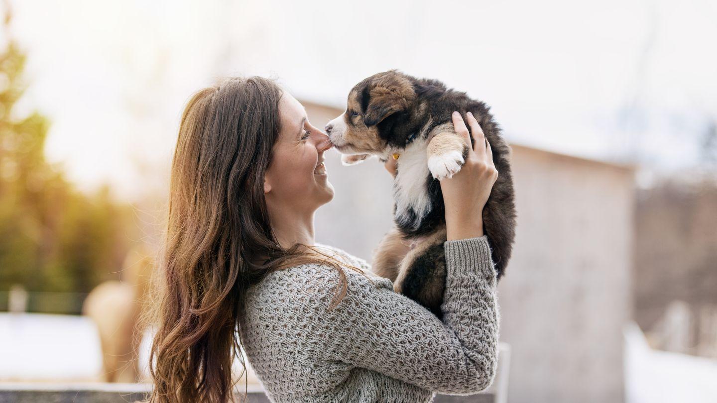 Lire la suite à propos de l’article Top 20 des préparatifs indispensables avant l’adoption d’un chiot