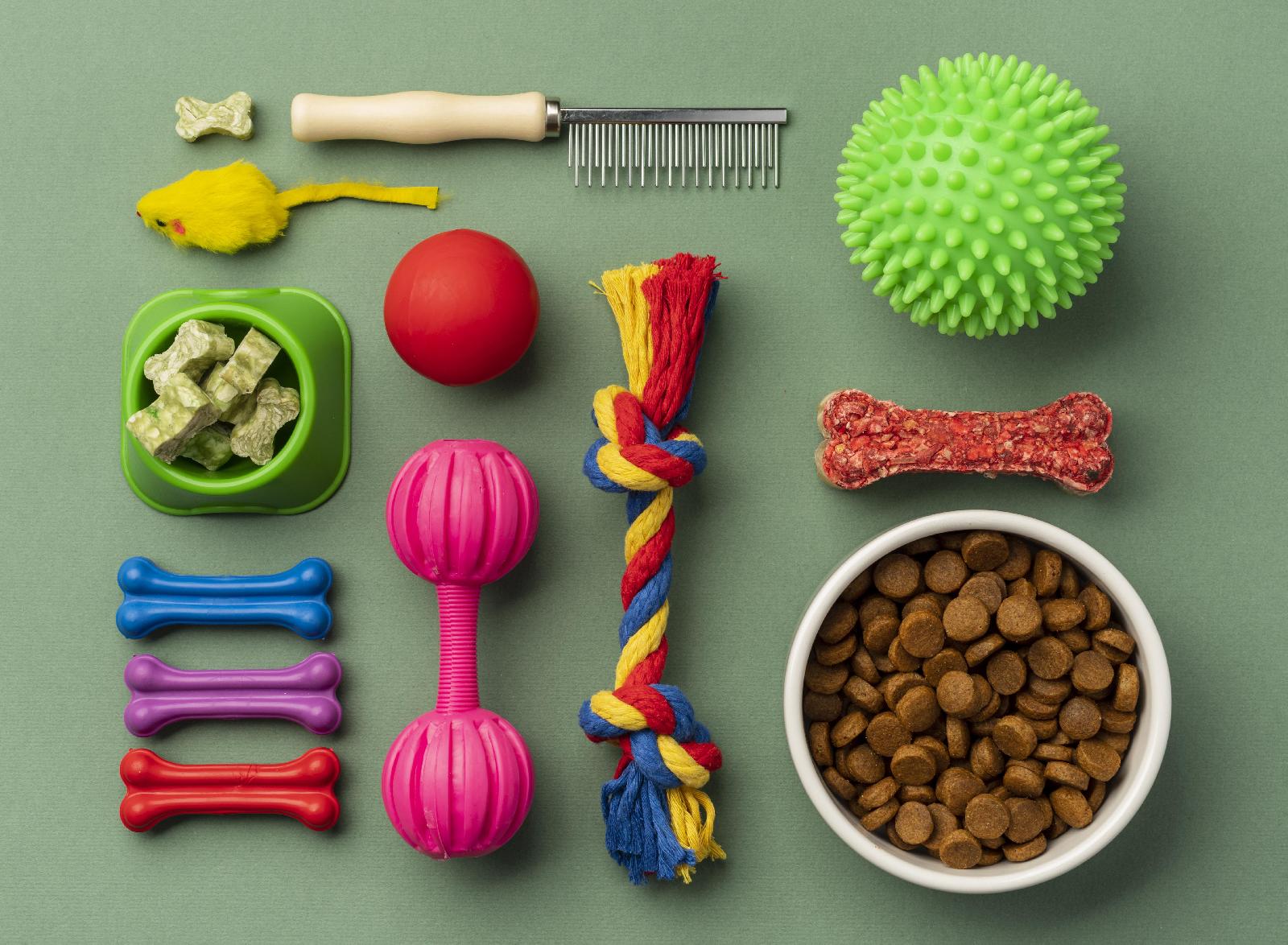 You are currently viewing Top 10 des objets teckel incontournables pour les vrais passionnés de chien saucisse